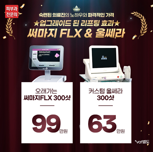 프리미엄 리프팅